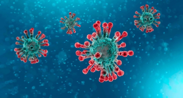 Medidas de protección básicas contra el nuevo coronavirus  OMS  y SECRETARIA DE SALUD