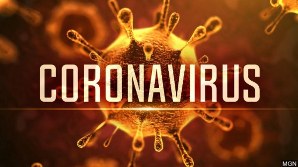 Preguntas y respuestas sobre la enfermedad por coronavirus (COVID-19) OMS Organización Mundial de la Salud